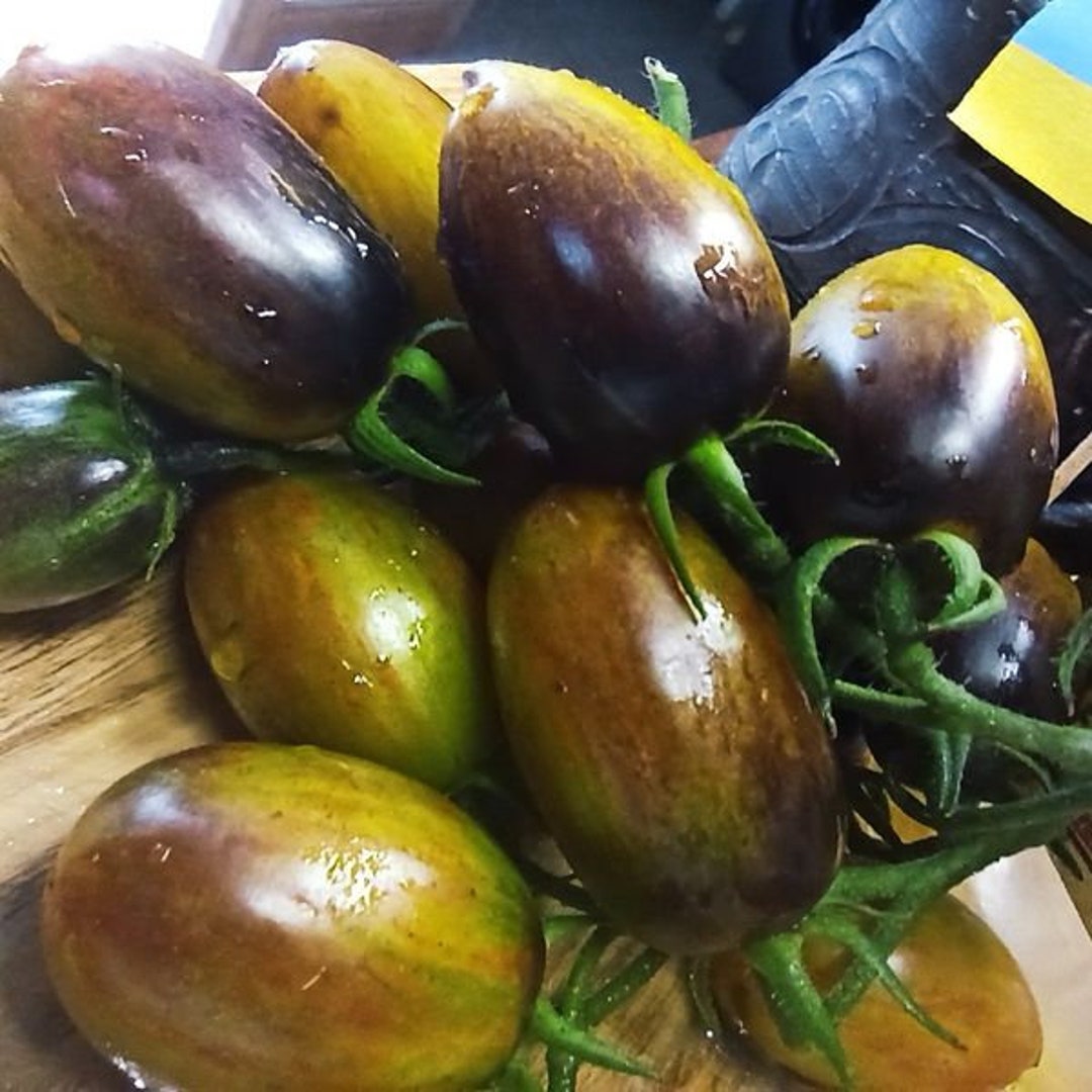 Brad's Atomic Grape Tomatoes Seeds Etsy