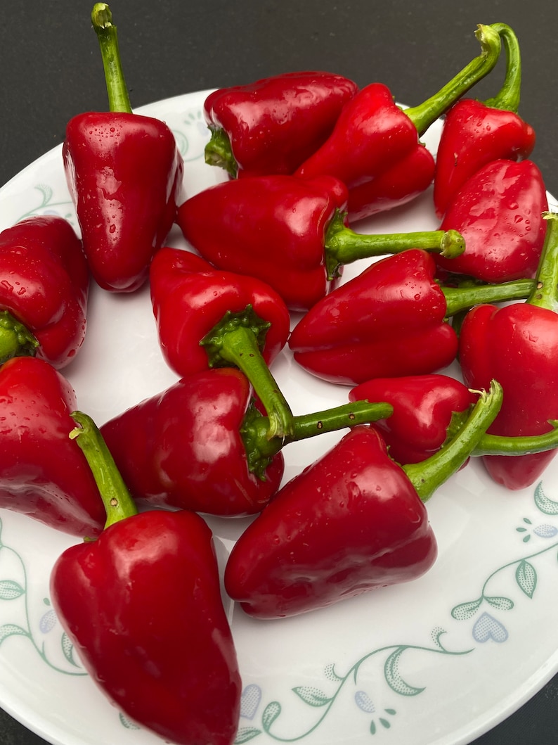 May include: A plate of red peppers with green stems. The peppers are shiny and wet, suggesting they have been recently washed.
