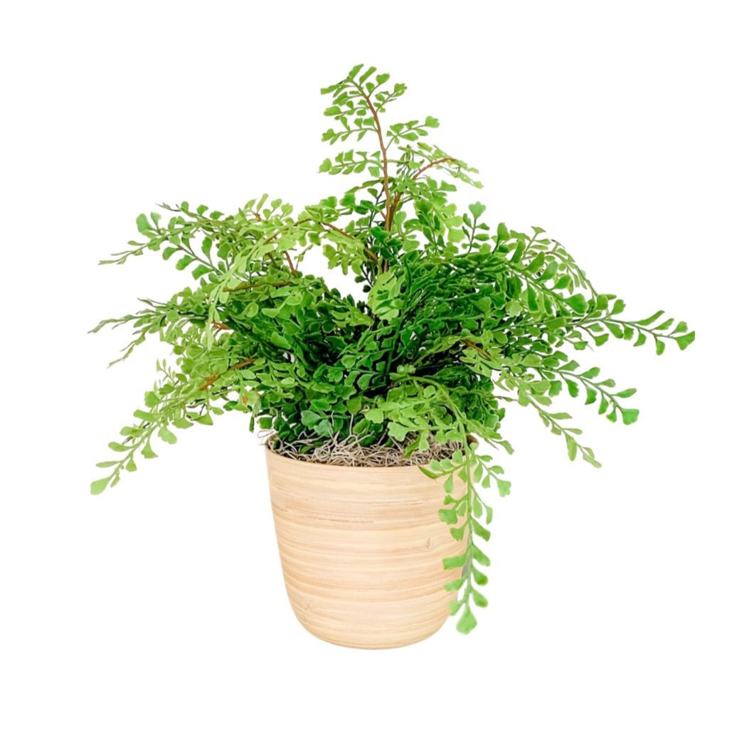 Faux Artificial Full Maidenhair Fern Plant in Natural Bamboo Etsy