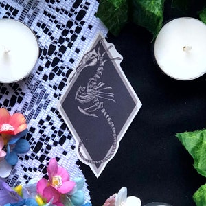 Skeleton Seahorse Sticker | Original Artwork | Gloss | Die Cut