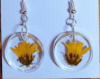 pressed flower earrings - yellow flower earrings - 3/4" diameter round resin earrings with real flowers