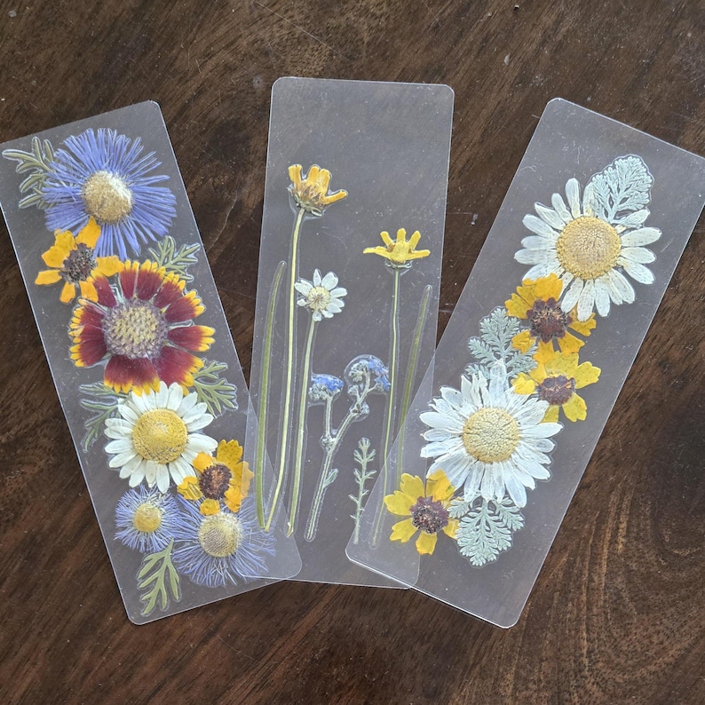 How To Dry Flowers For Bookmarks At Hazel Barrett Blog