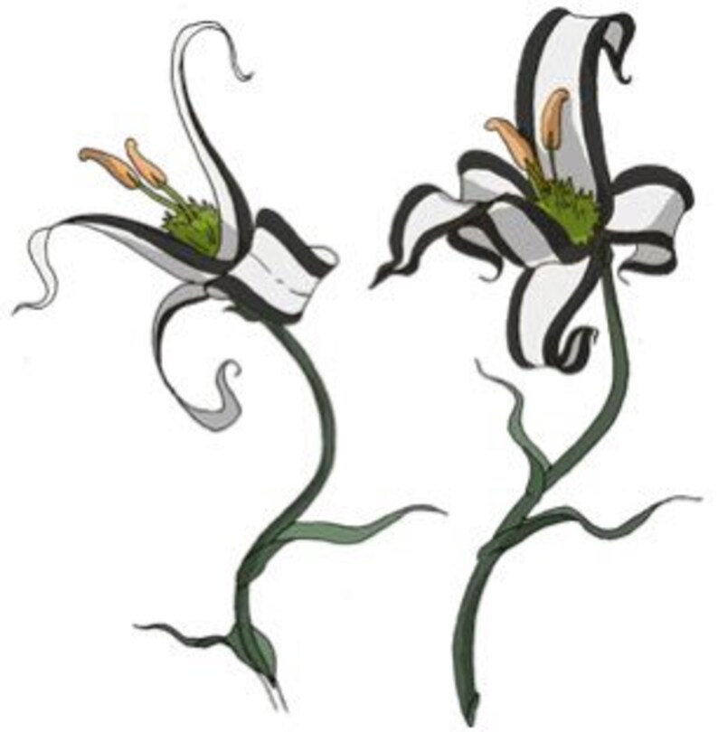 Panda Lily avatar the Last Airbender Fake Flowers Etsy