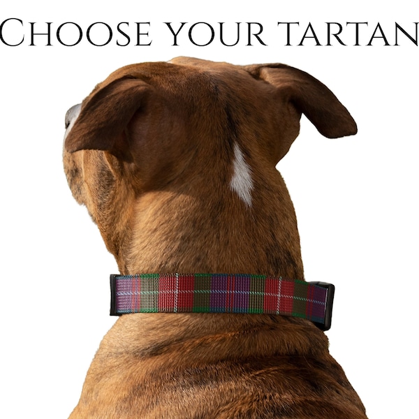 Scottish Clan Tartan Dog Collar, Choose your Tartan, Scots Tartan Dog Puppy Accessory, Scotland Plaid, MacDonald Fraser Wallace and More