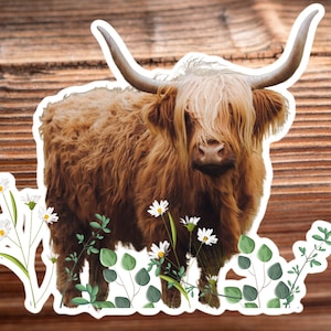 Highland Kuh Aufkleber, Schottisches Rind und Wildblumen von Schottland, Wunderschöner Highland Kuh Aufkleber mit Blumenstrauß, Kuh-Aufkleber