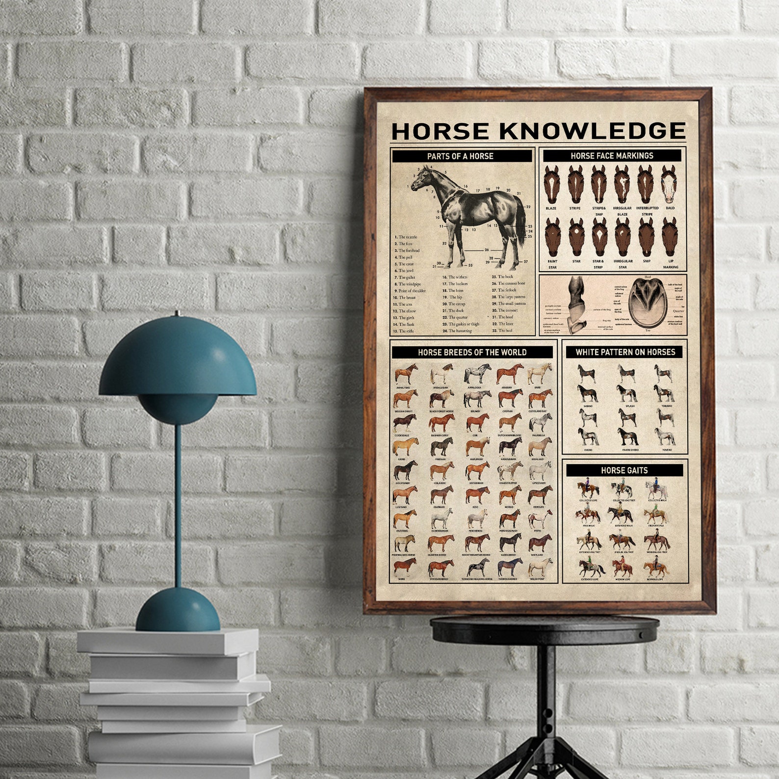 Horse Knowledge Poster No Frame Horse Decor Poster Horse Etsy