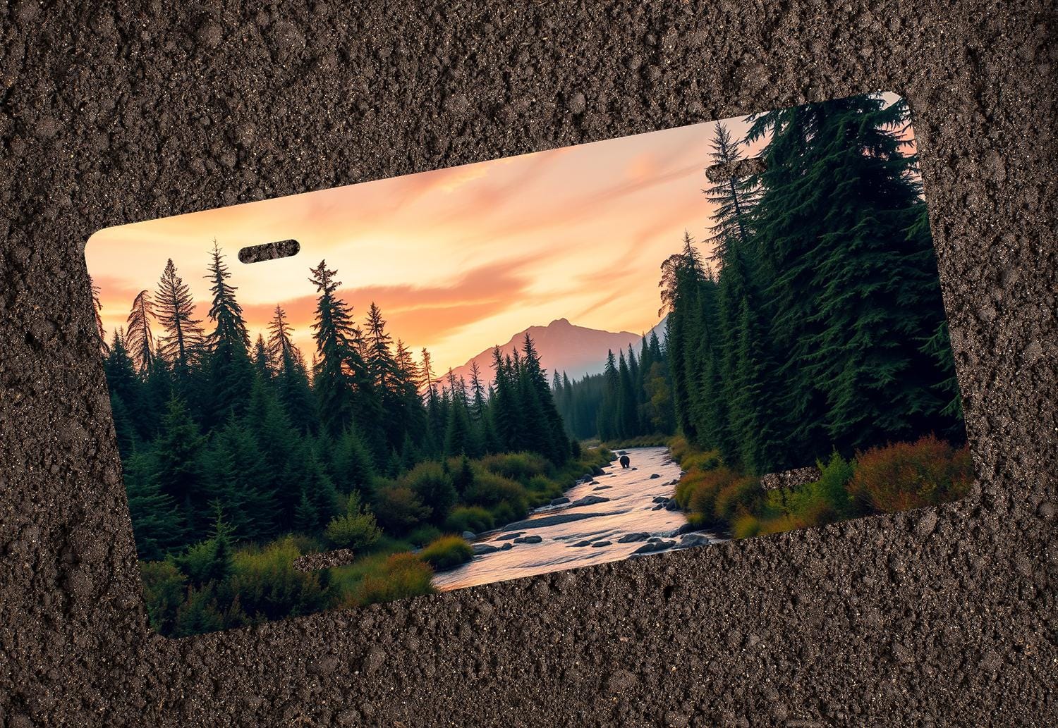 WV Nature Custom License Plate Mountains