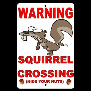 May include: A white metal sign with red text that reads "WARNING SQUIRREL CROSSING (HIDE YOUR NUTS)". A cartoon squirrel with a worried expression is pictured on the sign.