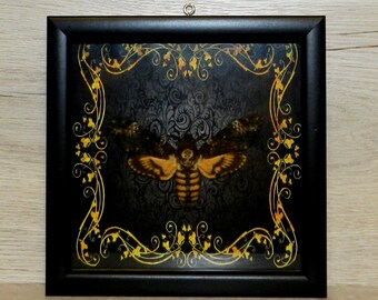 Death Head Moth Etsy