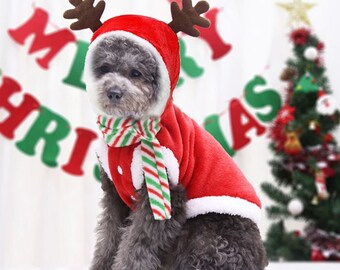 cute dog christmas outfits