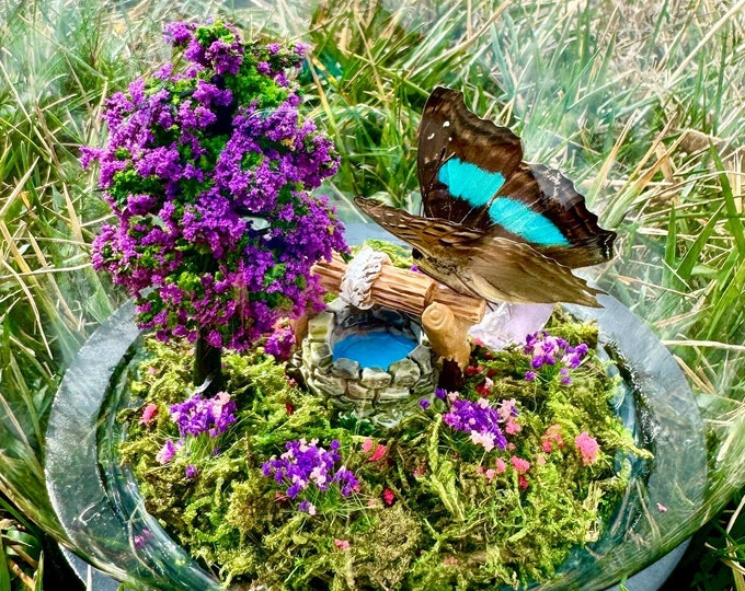 Real Butterfly In Glass Dome/Sparkling Cherub Diorama With Natural Amethyst Crystal Turquoise Emperor