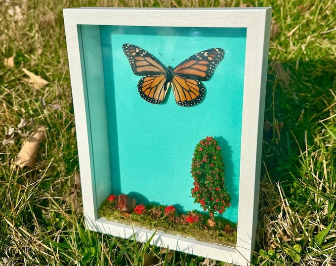 Real Monarch Framed Butterfly Nature Diorama Shadowbox Natural Red Tiger's Eye Crystal