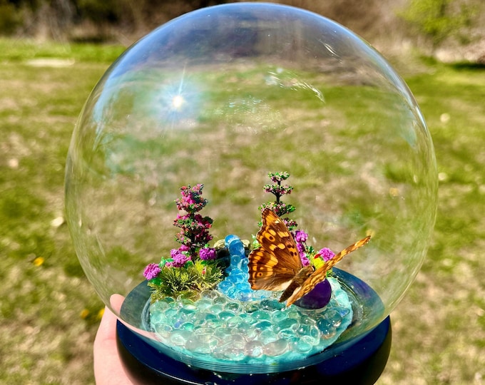 Real Butterfly In Glass Dome/Purple Emperor Waterfall Diorama With Natural Amethyst Crystal
