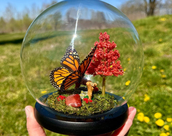 Real Monarch Butterfly In Glass Dome/Diorama With Natural Red Jasper Crystal