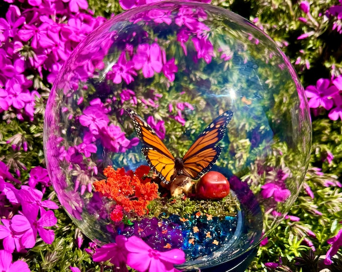 Real Monarch Butterfly In Glass Dome/Diorama With Natural Red Jasper Crystal
