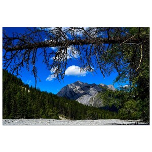 Pode incluir: Uma vista de uma cordilheira de montanhas através dos ramos de uma árvore nua. O céu é azul com algumas nuvens brancas. As montanhas são cobertas de árvores e têm uma superfície rochosa e cinzenta.