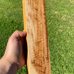 Lockige tasmanische Eiche Billet Holz Schnitzerei Drechseln Saya Herstellung DIY Bauholz