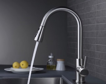 Single Handle High Arc Brushed Nickel Pull Out Kitchen Faucet,Single Level Stainless Steel Kitchen Sink Faucets with Pull Down Sprayer