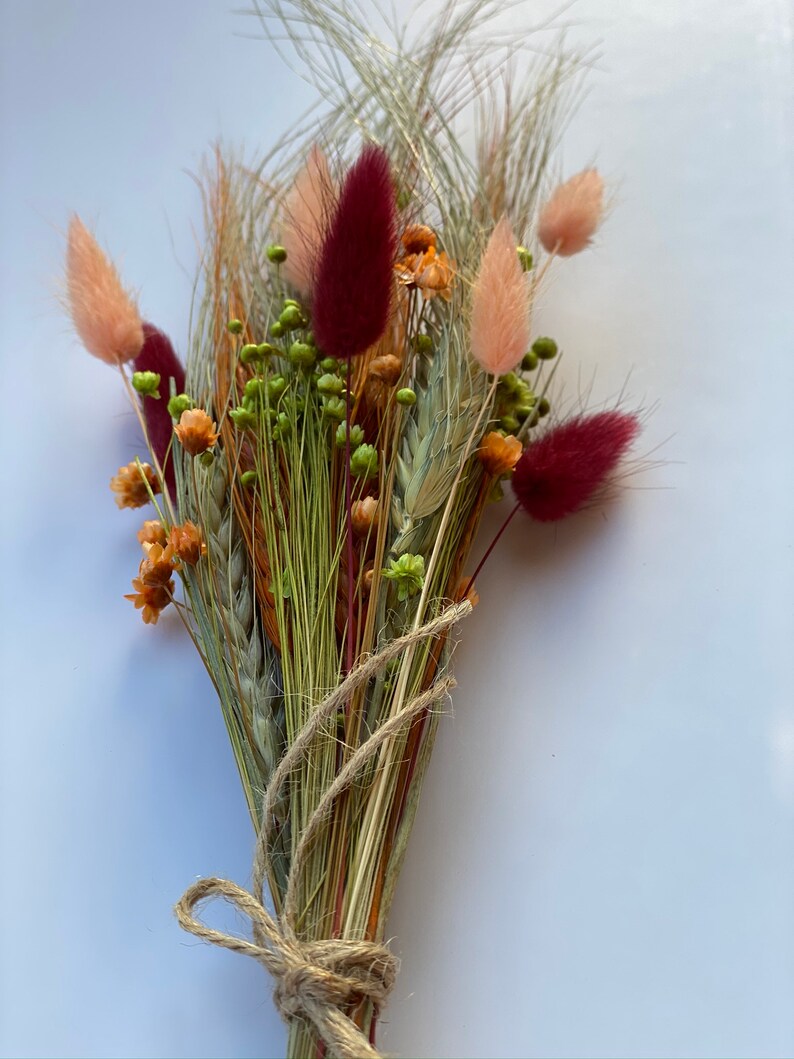 flores spress flores spress