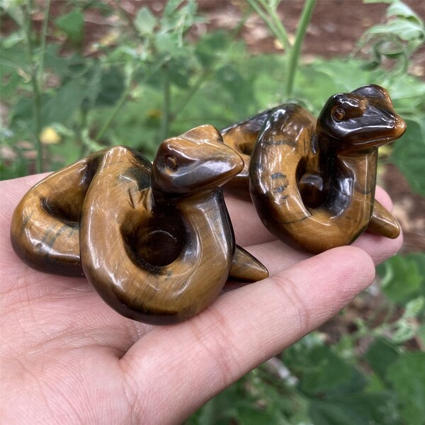 Tiger Eye Skull Etsy
