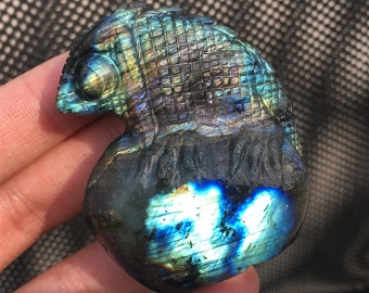 Natural ocean jasper chameleon hand carved quartz crystal skull healing 1pc