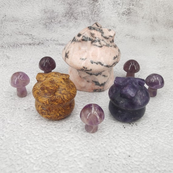 Natural Pink Zebra Jasper Mushroom Housequartz Etsy