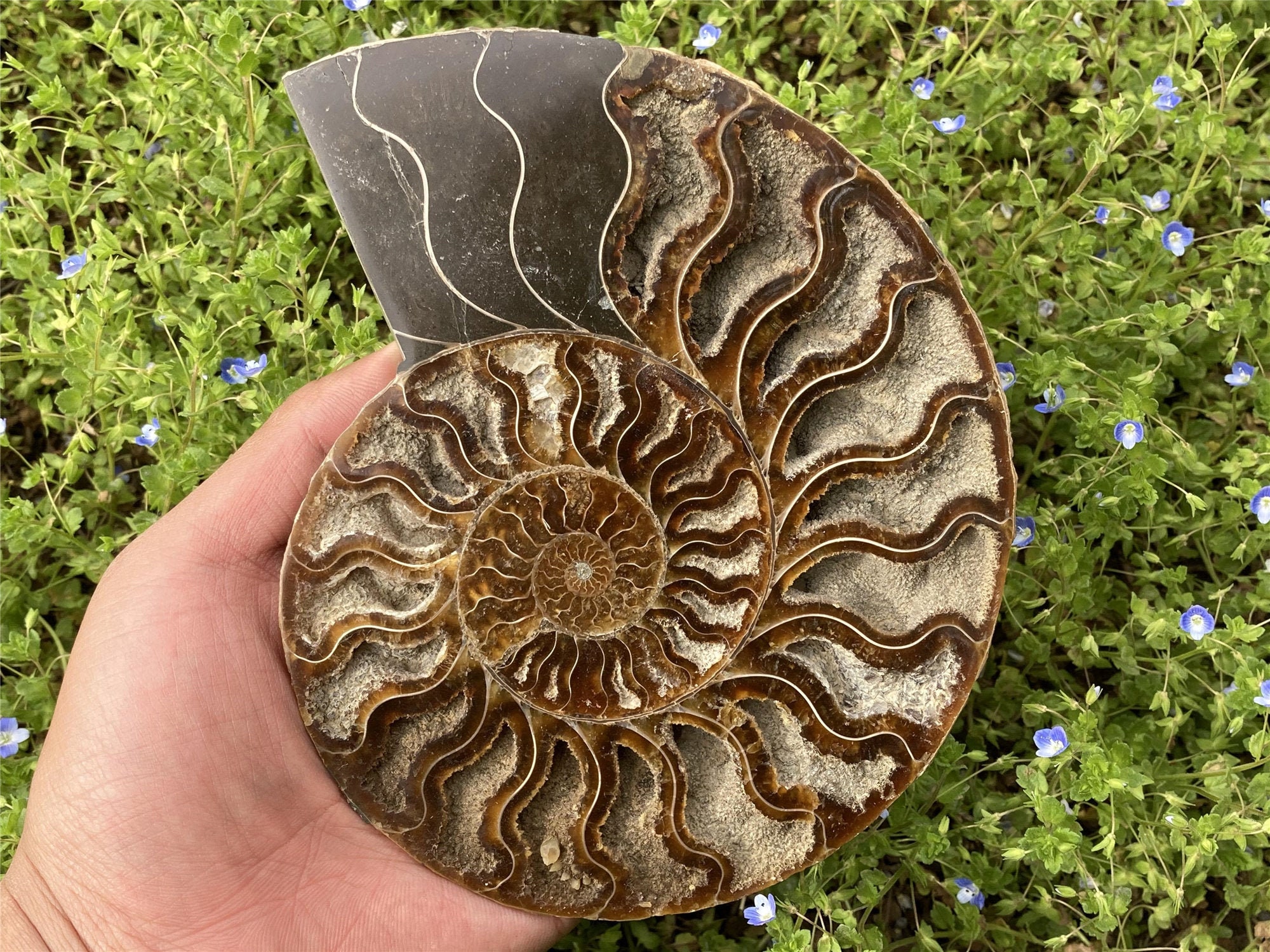 Fossil 15260j online