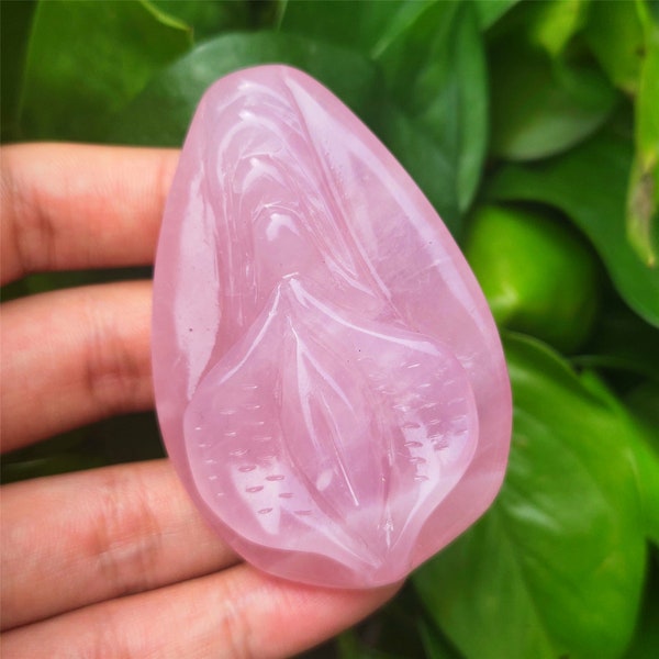 2" Natural Rose quartz Source Of Life,fluorite Source Of Life,Crystal Carving,Reiki Healing,Crystal Collection,Crystal gifts 1pc