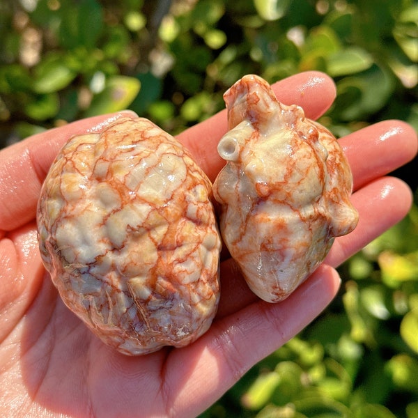 A kit Brain + Heart 2 “ Red Network Jasper,Crystal Heart,Crystal Brain,Hand Carved,Reiki Healing, Crystal Gifts