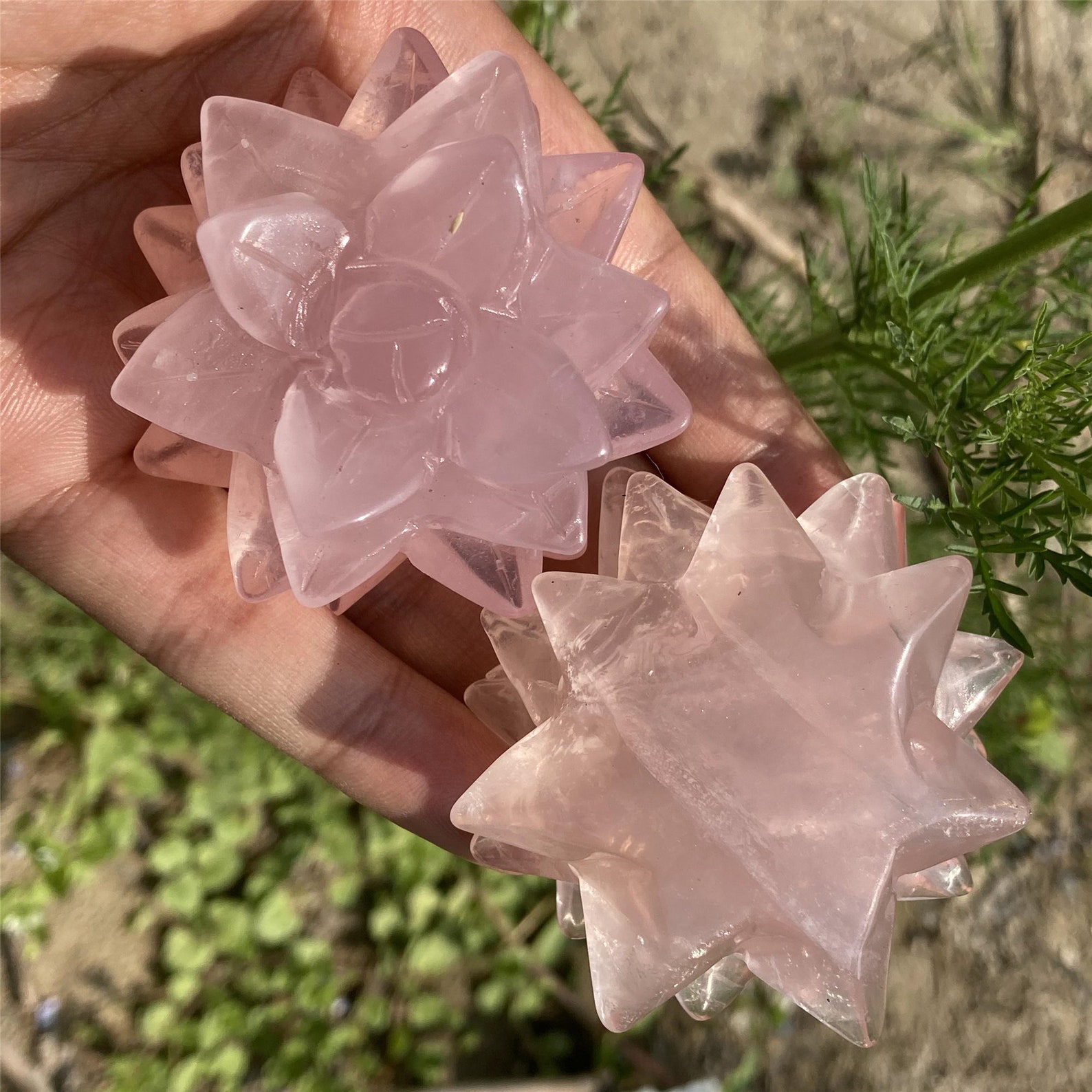 Natural Rose Quartz Flowersquartz Crystal Botanymini Etsy Hong Kong