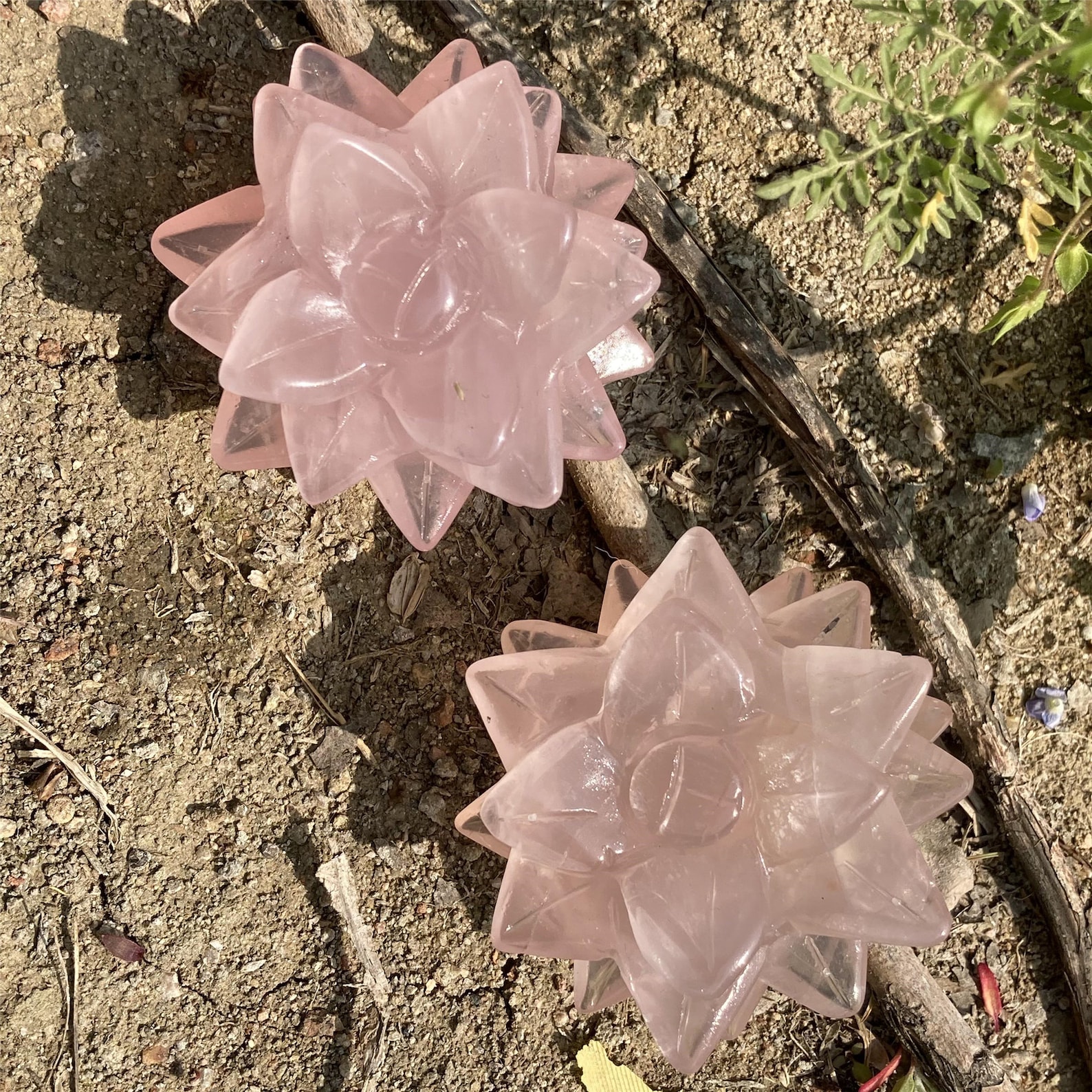 Natural Rose Quartz Flowersquartz Crystal Botanymini Etsy