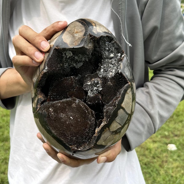 Natural Dragon Septarian Geode,Natural Septarian Egg,Mineral Specimen,Home Decoration,Reiki Healing,Teaching Materials,Geode Ore