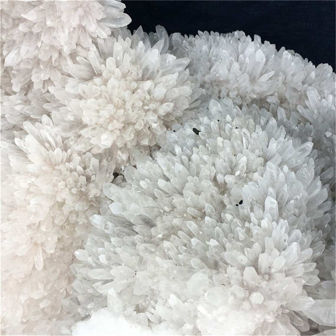 242LB Natural Chrysanthemum Stone Cluster BIG Clear Quartz Etsy