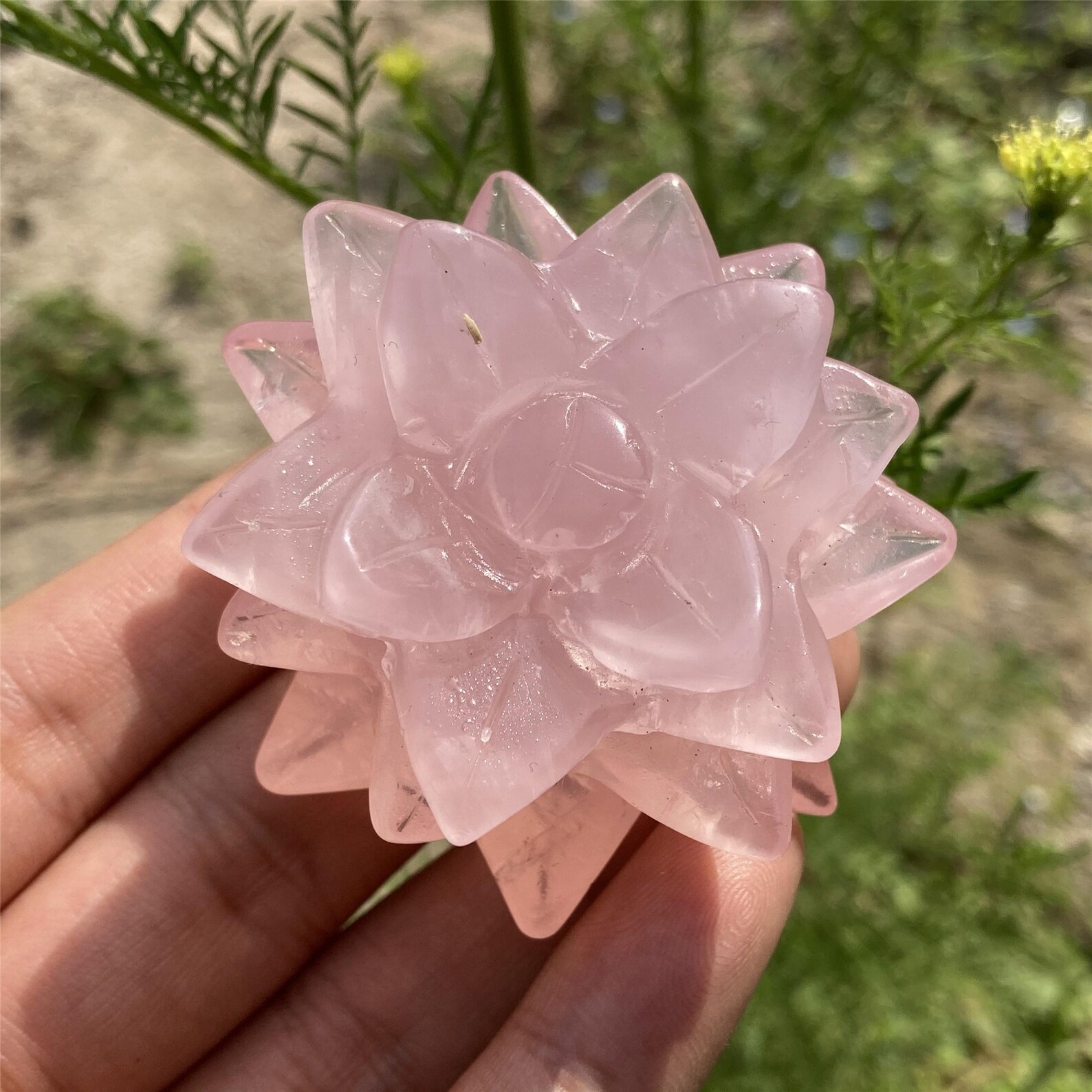 Natural Rose Quartz Flowersquartz Crystal Botanymini Etsy Hong Kong