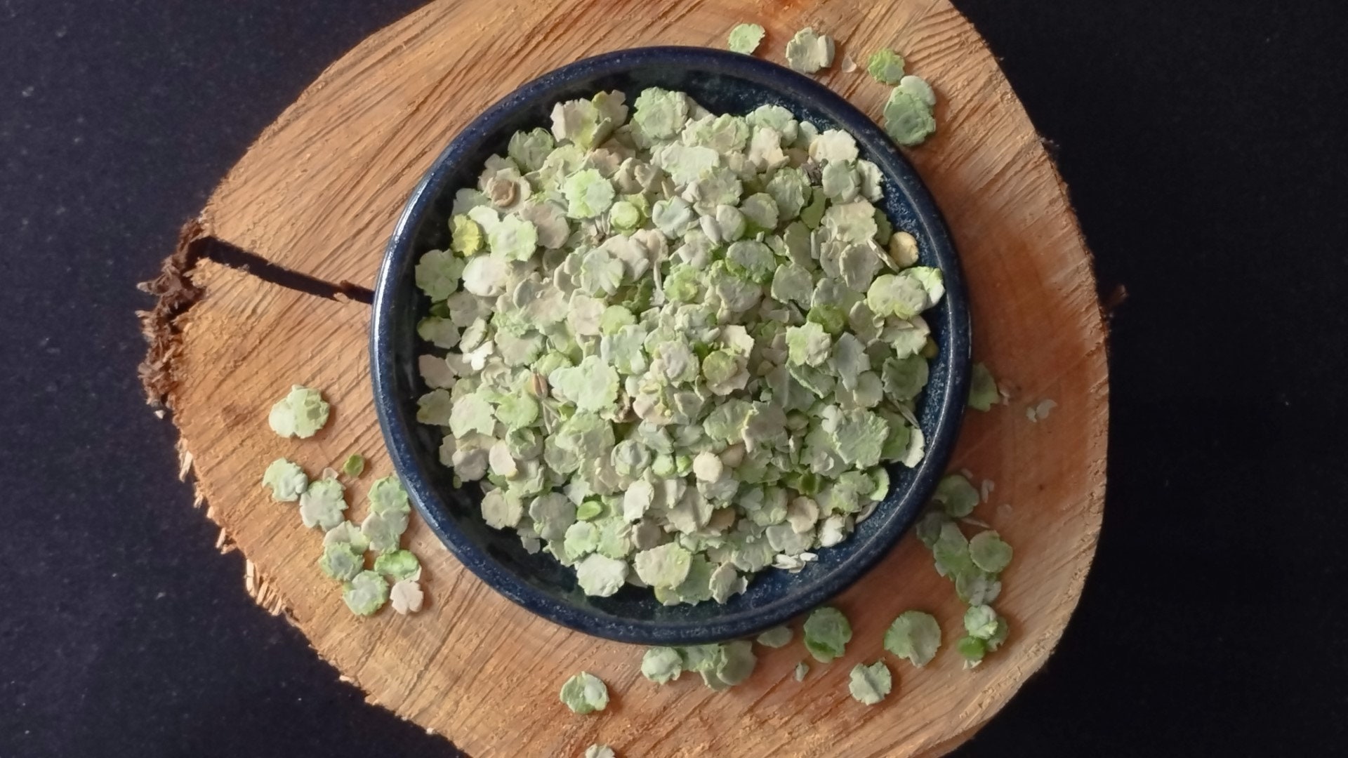 Guinea Pig Pea Flakes Etsy UK
