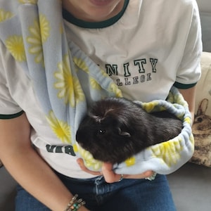 May include: A black guinea pig resting inside a light blue fleece pouch featuring a yellow and white daisy pattern. The pouch is designed as a sling with gathered edges, providing a soft and cosy enclosure for the small animal to sit securely.