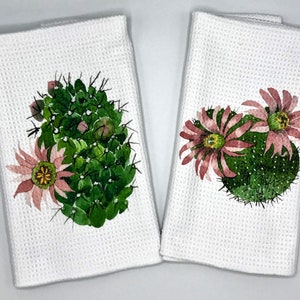 Cactus Towel Family