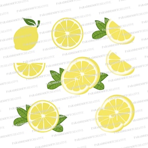 Lemon SVG Bundle, Lemon SVG, Lemon Slice, Fruit svg, Lemon ClipArt, Lemon png dxf, Lemon vector, Lemon Cut File, Digital File