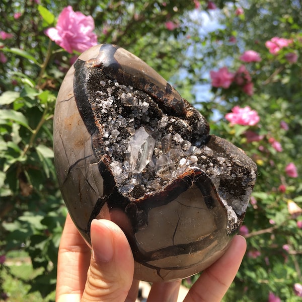 Natural Dragon Septarian Egg,Septarian Turtle Egg,Quartz Egg,Dragon Septarian Geode,Reiki Heal,Crystal energy,Mineral Specimen,Gifts