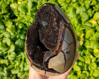 1.3kg+ Natural Dragon Septarian Geode,Natural Septarian Egg,Mineral Specimen,Home Decoration,Reiki Healing,Teaching Materials,Geode Ore 1pc