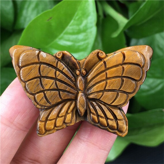 Tiger sale eye butterfly