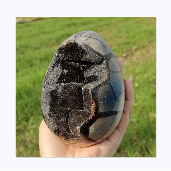 800g+ Natural Dragon septarian Egg,Septarian Turtle egg,Quartz Egg,dragon septarian geode,Reiki Heal,Home Decoration,Quartz Collection  1pc