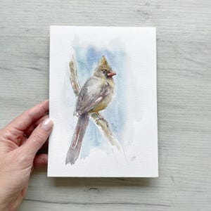Pássaro cardeal | Esboço original em aquarela | Postal 15x21cm