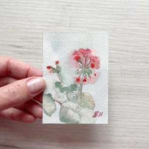 Fleurs de géranium | Aquarelle originale ACEO