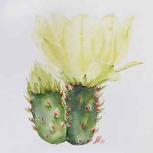 Fiore giallo del cactus | Acquerello originale 20x20 cm