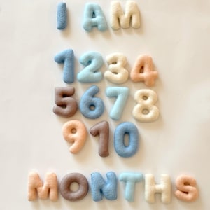 Números y letras de fieltro para fotos de hitos del bebé, accesorios para la edad mensual, decoración para fotos de recién nacidos, registro de meses del bebé, bloques de hitos mensuales