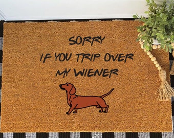 funny weenie dog pictures