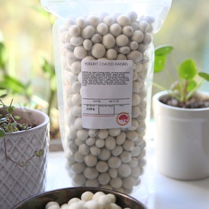 Kauffman Orchards Yogurt Covered Raisins in Bulk