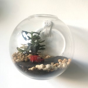 Mini Glass Wall-Fixed Terrarium Kit - Scale Model Vintage Car