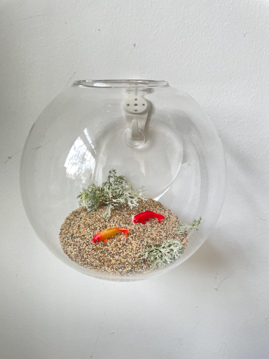 Mini Glass Wall-fixed Terrarium, Goldfish Bowl - Etsy UK